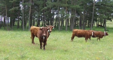 EpAgro - Agricultura