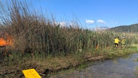 Foto: CONSELLERIA DE AGRICULTURA, PESCA Y MEDIO NATURAL