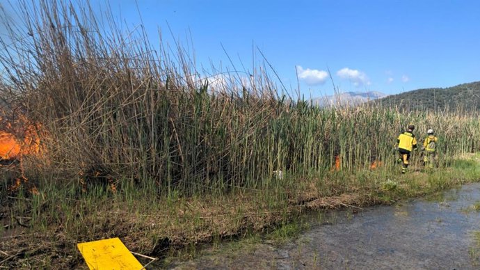 Una de las quemas controladas organizadas en el Parque Natural de s'Albufera.