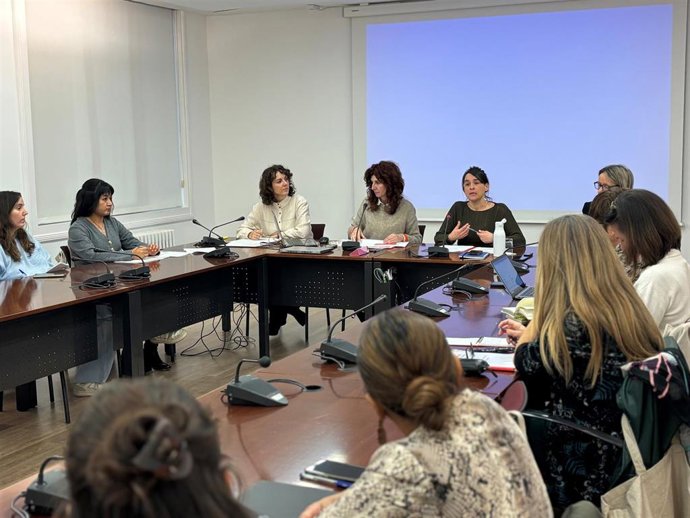 Imagen de la sesión del Consejo Navarro para la Lucha contra el Racismo y la Xenofobia