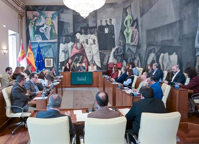 Pleno en la Diputación de Ciudad Real.