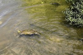 Foto: Josefina Blanco - Europa Press - Archivo