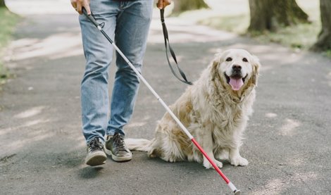 Es Andalucía - Sevilla