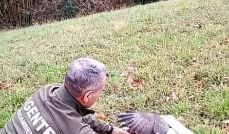 Asturias Rural
