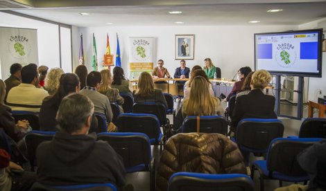 Córdoba única