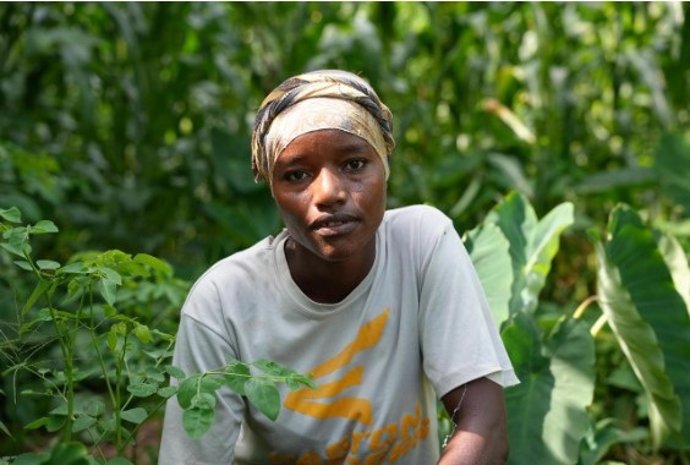 Abezash Kuno en su plantación de moringa.