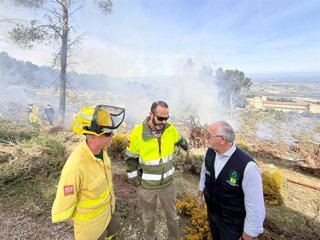 Efectivos de EMA Infoca actúan para la retirada de arbolado caído en el parque de Santa Catalina de Jaén.
