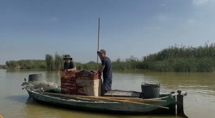 Devesa-Albufera