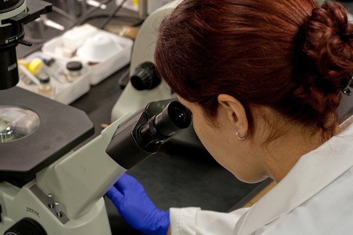 Más de 600 personas participan en proyectos que investigan el impacto de la menopausia en la enfermedad cardiovascular