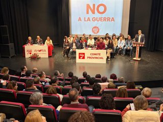 Intervención del secretario general del PSOE de Granada, Pedro Fernández, ante el Comité Provincial del PSOE de Granada.