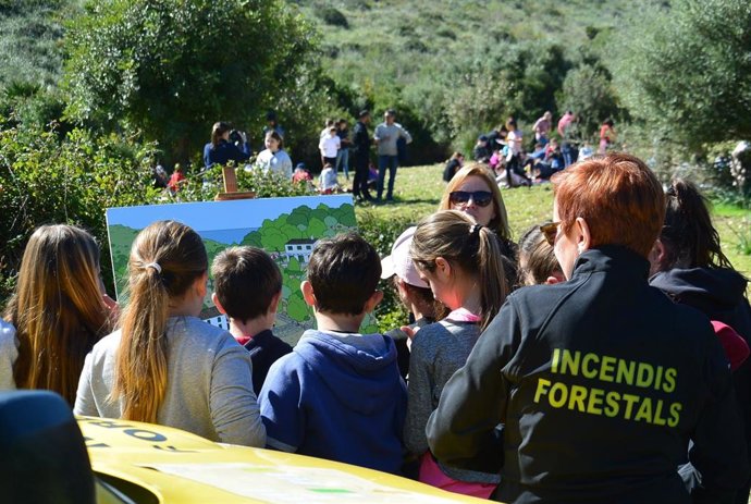 El Govern organiza actividades por el Día de los Bosques para divulgar su importancia entre la ciudadanía.