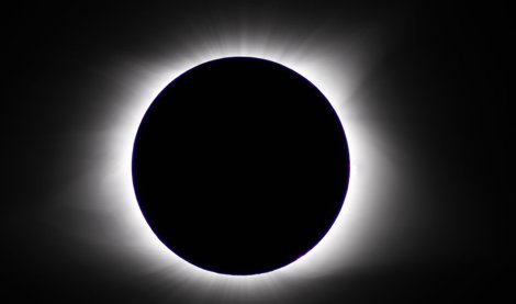 notibrasil sociedade