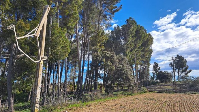 Una de les afectacions