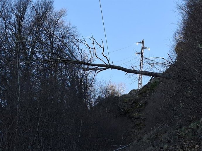 Una de les afectacions