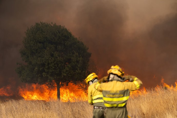 Bomberos trabajan para extinguir el incendio, a 10 de agosto de 2025, en Molezuelas de la Carballeda, Zamora (España).