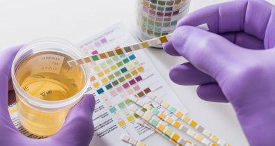 Investigación