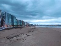 El Principado recuerda que la decisión sobre el acceso de perros a las playas de Gijón es competencia municipal