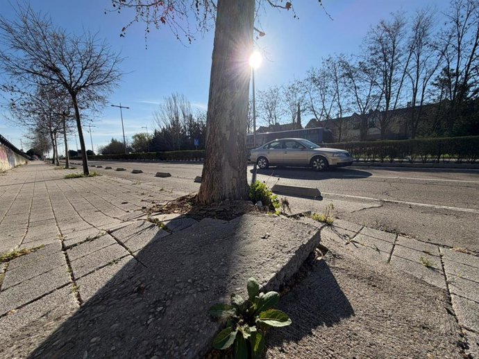 Estado de una zona de la acera en la avenida de Salamanca, en Valladolid, donde va a realizar obras el Ayuntamiento.