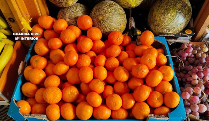 Investigat un home per vendre fruita amb albarans falsos