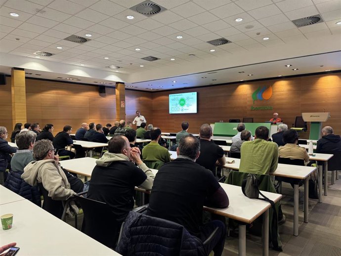 Economía.- Iberdrola cree "imprescindible" incrementar inversiones en redes para atender la necesidad de las industrias