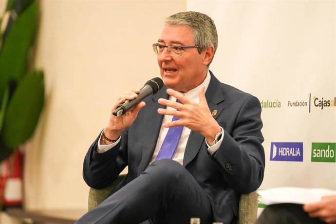 Archivo - El presidente de la Diputación de Málaga, Francisco Salado.