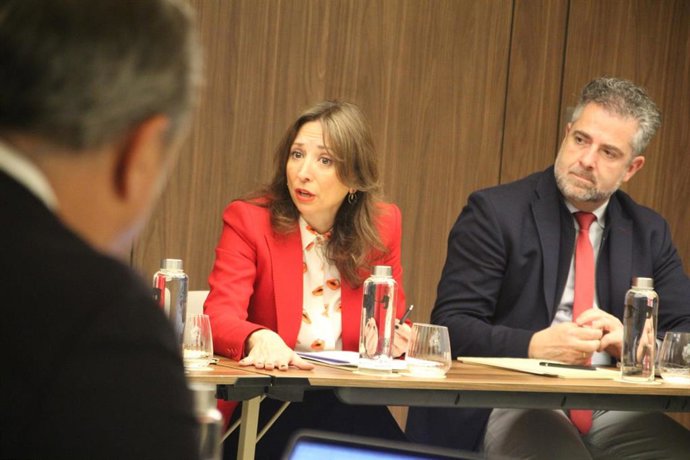 La presidenta del Partido Popular de Málaga, Patricia Navarro, ha exigido este lunes al Gobierno de España "gestos de apoyo" al sector turístico malagueño tras volver a retrasar la llegada del AVE a la capital,