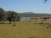 Foto: La Junta de Extremadura abona 12,7 millones de euros en distintos pagos de la PAC