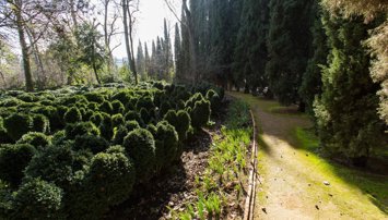 Es Andalucía - Granada