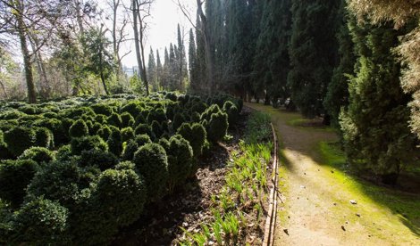 Es Andalucía - Granada