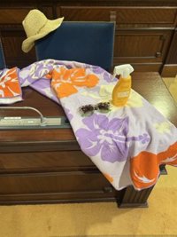 El PSIB critica el viaje de Prohens a República Dominicana dejando una toalla en su escaño: "Debería estar trabajando"