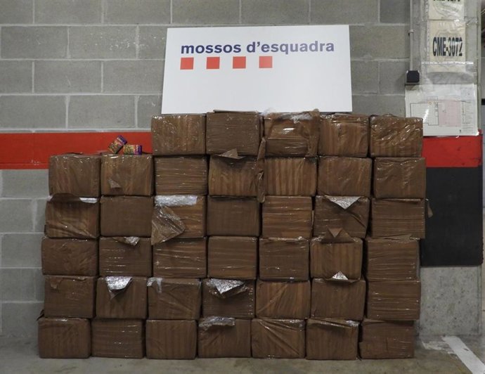 Fardos de hachís localizados