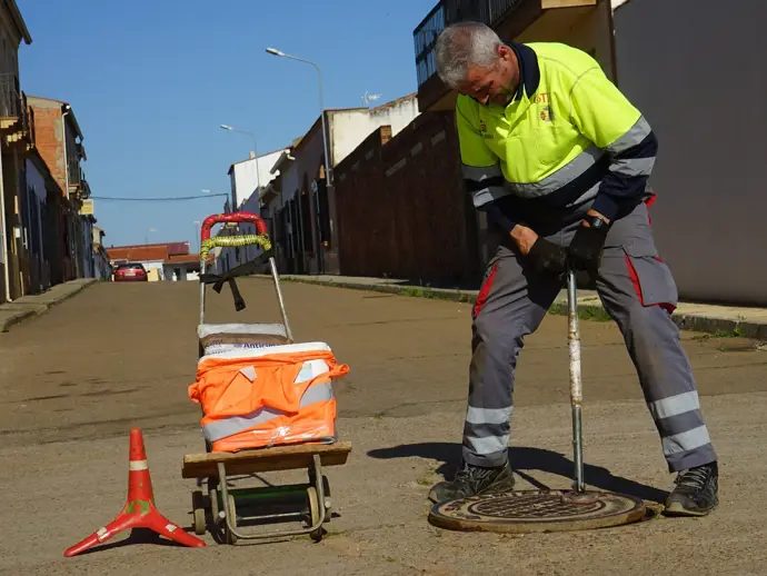Tratamiento preventivo contra plagas