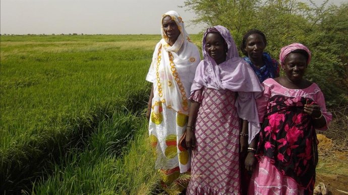 Archivo - Mujeres africanas.