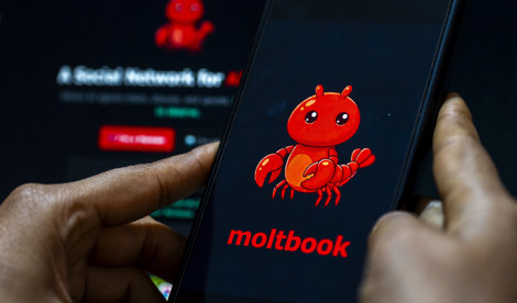 notibrasil sociedade