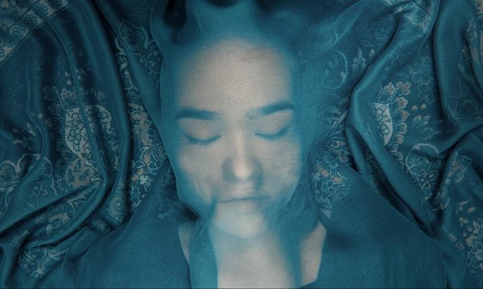 Imagen de 'A Fox Under a Pink Moon', de Mehrdad Oskouei y Soraya Akhlaghi