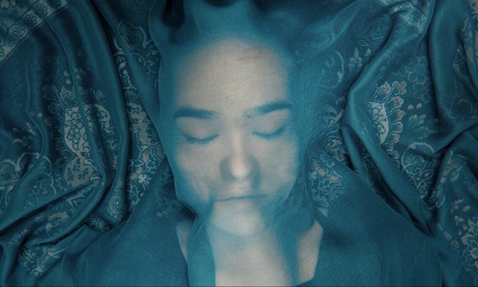 Imagen de 'A Fox Under a Pink Moon', de Mehrdad Oskouei y Soraya Akhlaghi