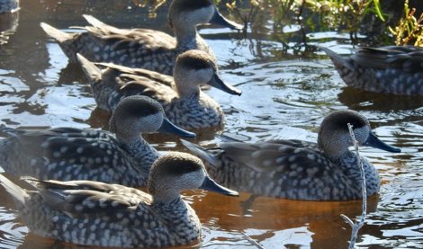 Es  Andalucía - Almería