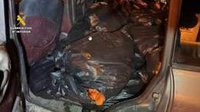 La Guardia Civil detiene a dos hombres por sustraer 500 kilos de mandarinas en una finca de Campos del Río