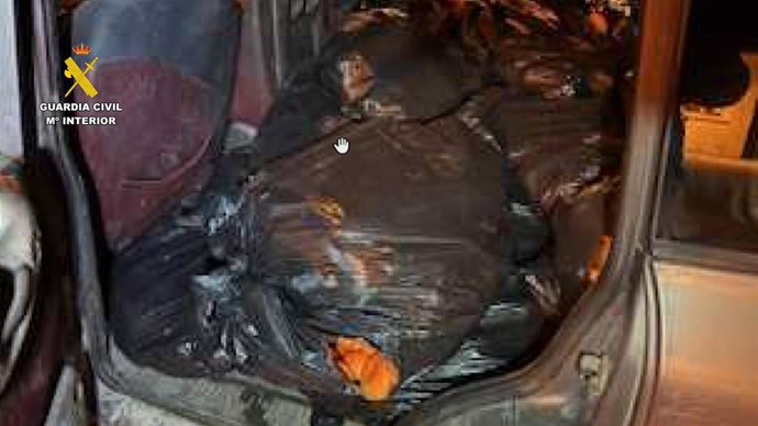 Vídeo de la noticia