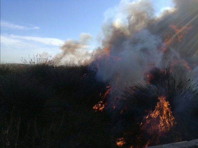 Archivo - Quema de vegetación