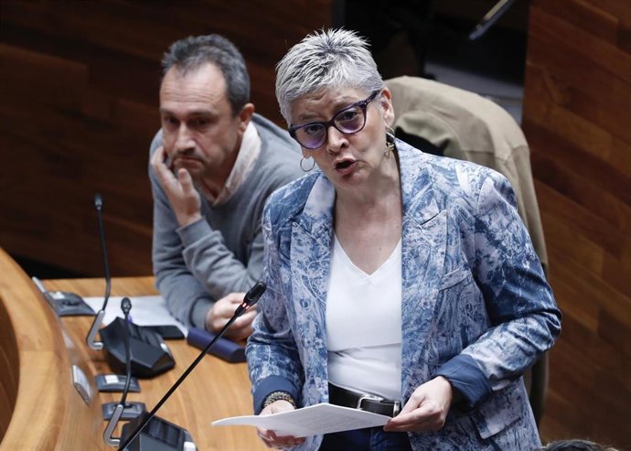 La consejera de Salud, Concepción Saavedra, durante el Pleno de este martes en la JGPA.
