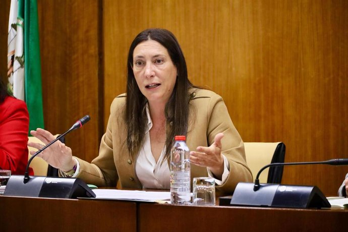 La consejera de Inclusión Social, Juventud, Familias e Igualdad, Loles López en comisión parlamentaria.