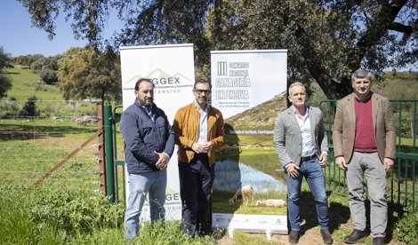 Córdoba única