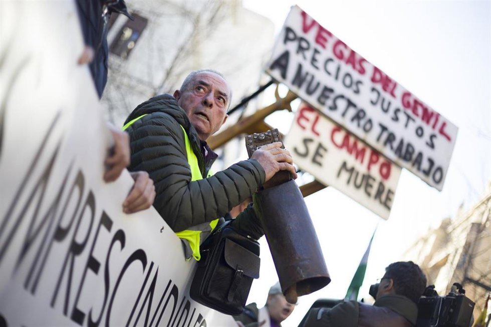 Archivo - Imagen de archivo de protestas agrarias en la Subdelegación del Gobierno de Granada