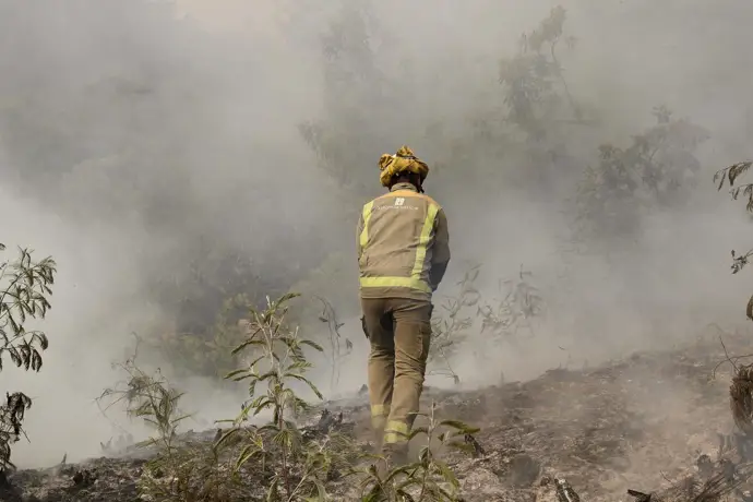 Efectivos de emergencias realizando labores de extinción del incendio de Pantón en Lugo, España.