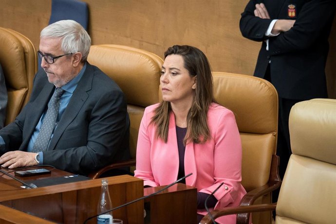 La vicepresidenta de la Mesa de la Asamblea, Ana Millán, durante un pleno en la Asamblea de Madrid.