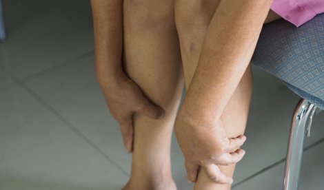 notibrasil sociedade