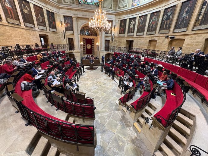 Archivo - Pleno de las Juntas Generales de Bizkaia