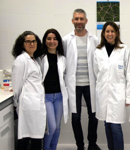 Equipo del Instituto de Nanociencia y Materiales de Aragón.