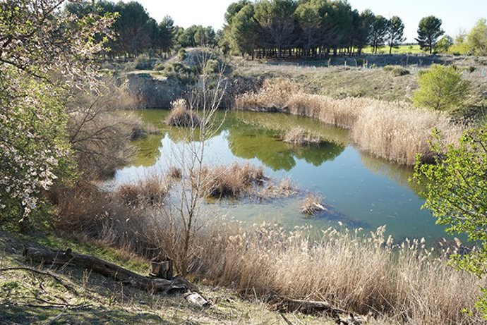 Detenidas tres personas que intentaban robar vallas en las Lagunas de Horna en Getafe .